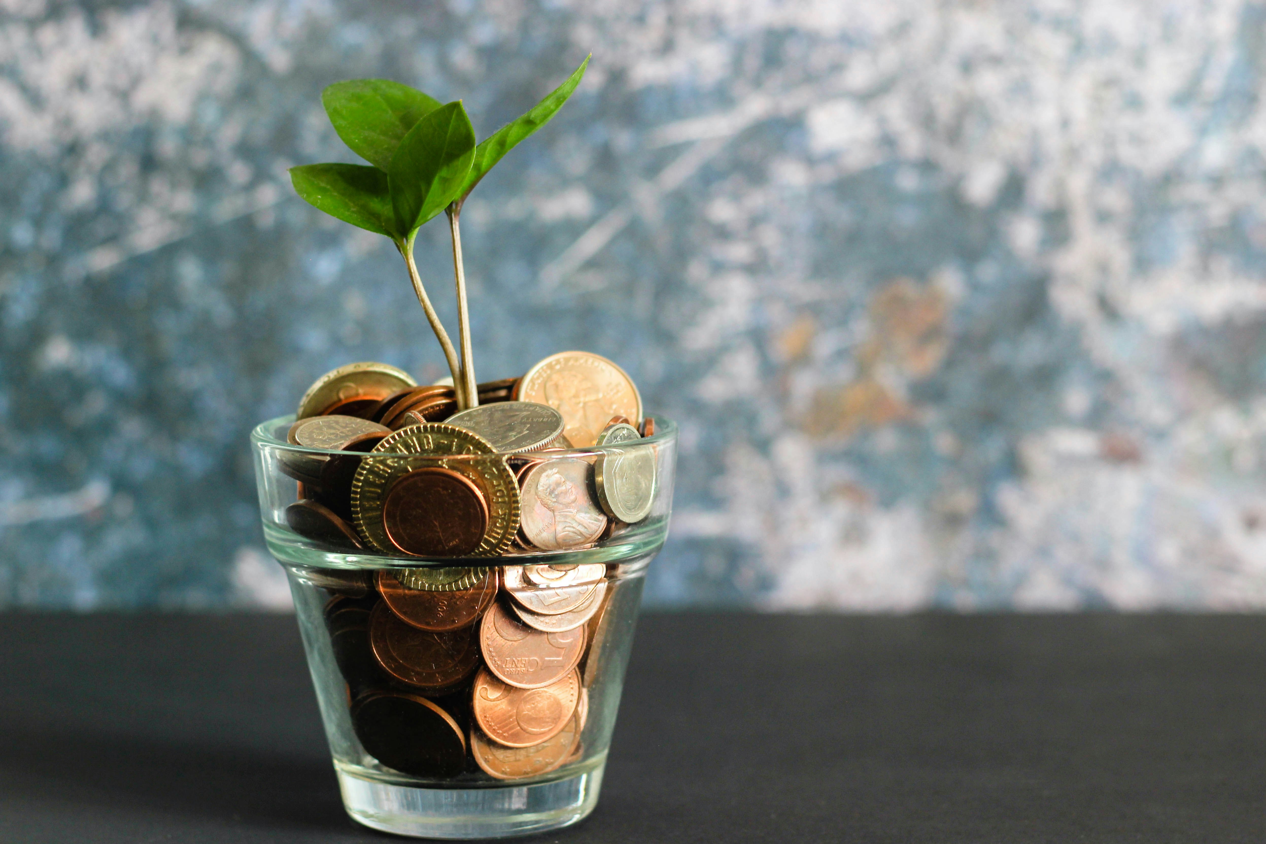 Fixed Deposit Savings